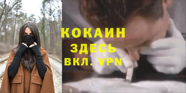 гидра Баксан