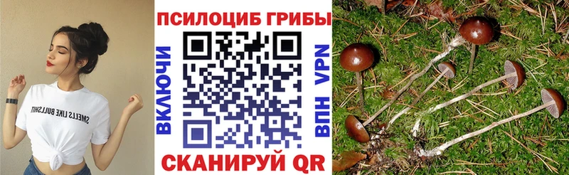 Псилоцибиновые грибы мухоморы где продают наркотики Буинск