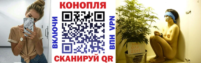 kraken как войти  Буинск  Канабис гибрид  купить наркоту 